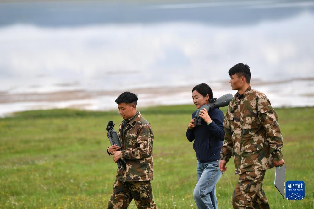 百家乐对子预测